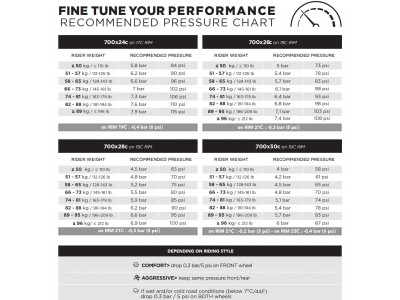 Riepa Pirelli P ZERO Race TLR SL