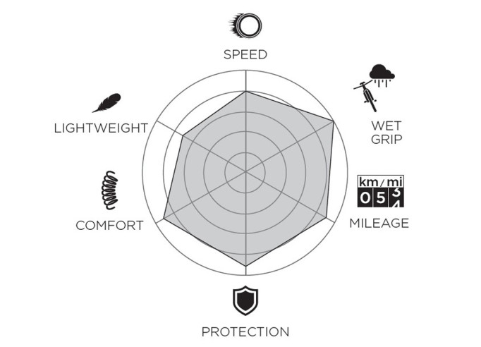 Riepa Pirelli P ZERO Race 4S