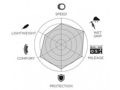 Tire Pirelli P ZERO™ Race