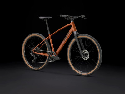 Velosipēds TREK Dual Sport 3 Gen 5 brūns 2