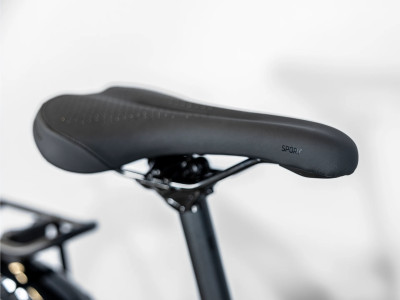 Velosipēds Dual Sport 2 Equipped Stagger Gen 5 zaļš