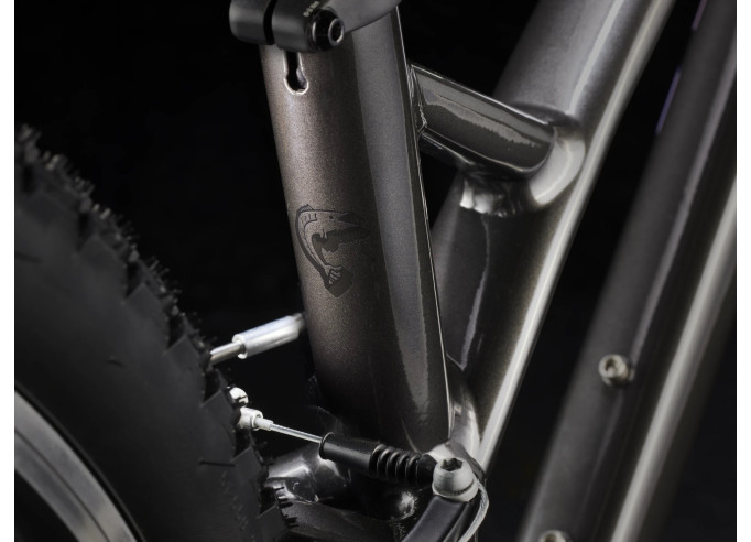 Kids bike TREK Wahoo 26 Path dnister black