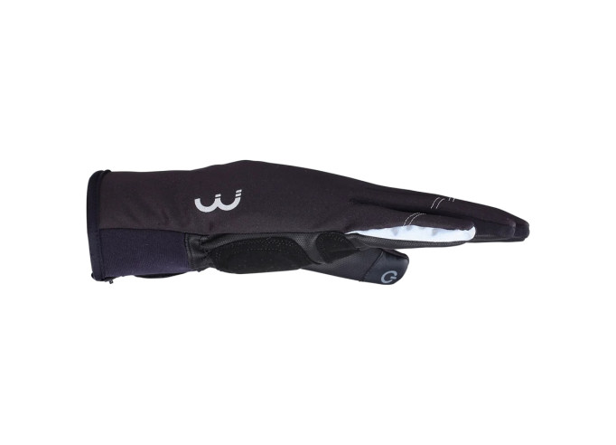 Winter gloves BBB BWG-37  ColdShield black