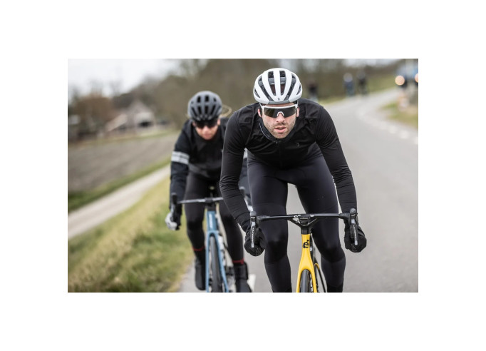 Winter gloves BBB BWG-39 ProShield black