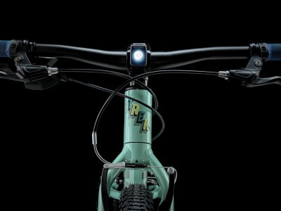 Velosipēds TREK Wahoo 24 Path zaļš