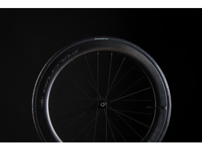 Riepa Pirelli Cinturato EVO TLR