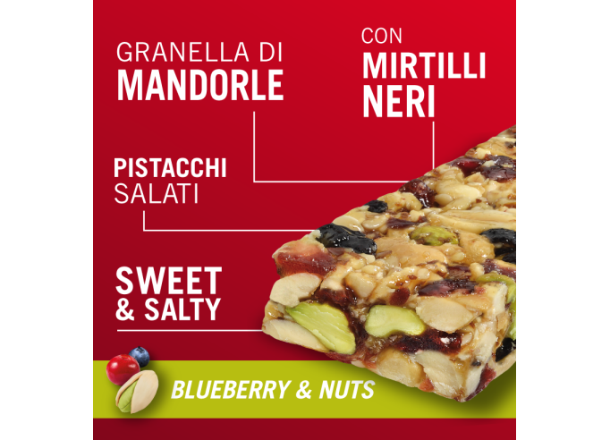Enervit Power Time Dried Blueberry and Nuts