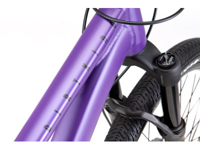 Dirt jump velosipēds CTM Dirtking Xpert matt violet / black