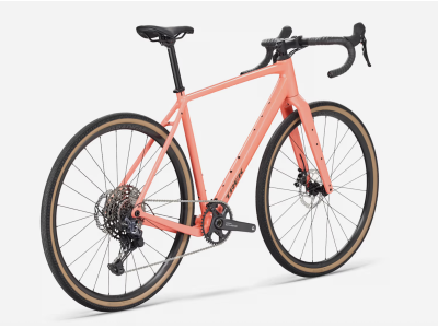 TREK Checkpoint ALR 4 Living Coral 2