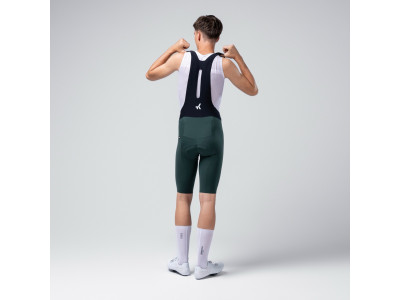 Šorti GOBIK X MEN PINEWOOD - K10