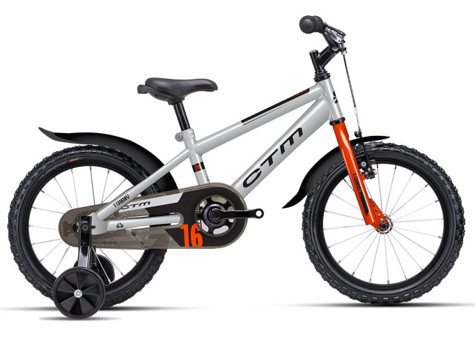 CTM TOMMY | matt silver