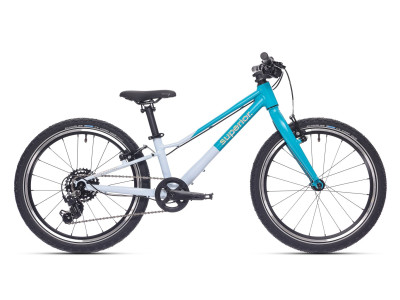 Bērnu velosipēds Superior F.L.Y. 20 VB | Matte Teal