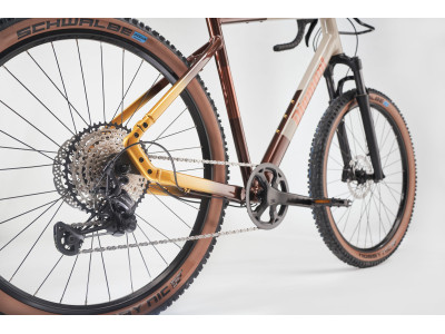 Fitness velosipēds  Diamant 140 SO | Mokkalatte Duotone