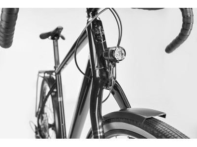 Fitness velosipēds Diamant Nhoma SO | Lehmbeige 2