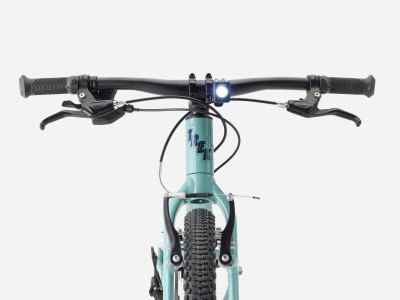 Kids bike TREK Wahoo 26 Path | Blue Sage 2