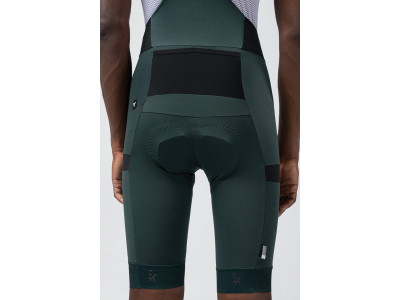 BIB SHORTS Gobik GRIT 3.0 PINEWOOD MEN