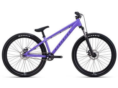 CTM DIRTKING | violet