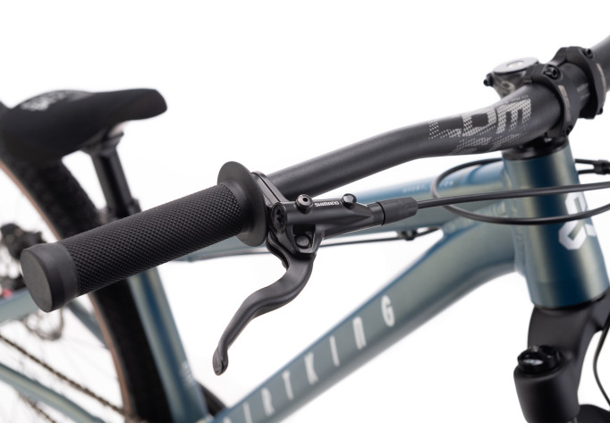 CTM DIRTKING Xpert | matt ground green