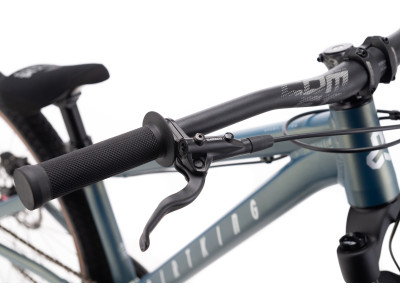 CTM DIRTKING Xpert | matt ground green