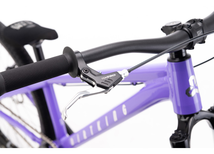 CTM DIRTKING | violet