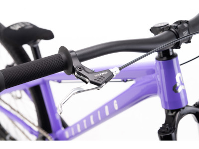 CTM DIRTKING | violet