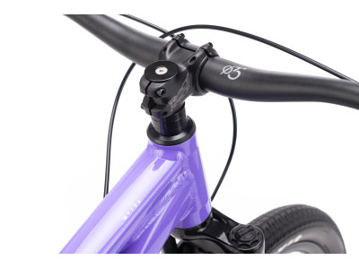 CTM DIRTKING | violet