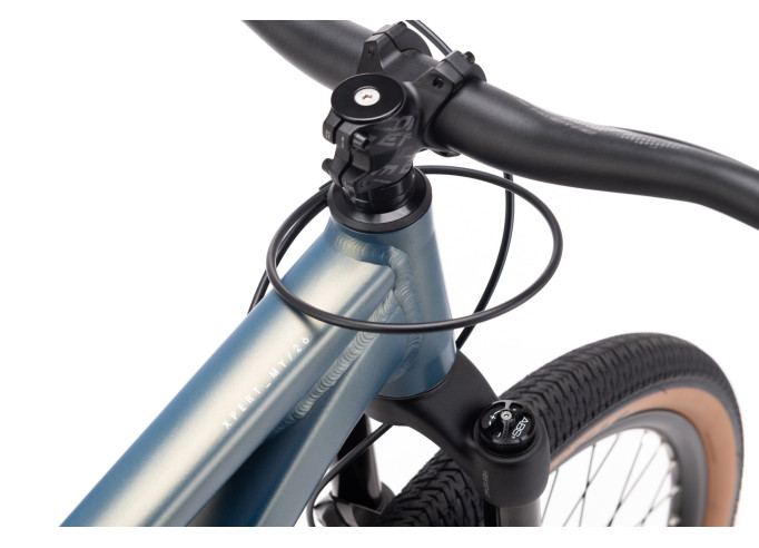 CTM DIRTKING Xpert | matt ground green