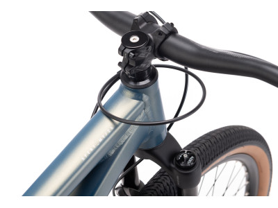 CTM DIRTKING Xpert | matt ground green