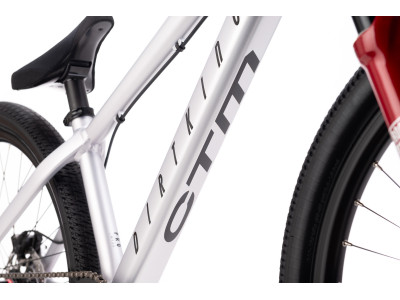 CTM DIRTKING Pro | matt silver