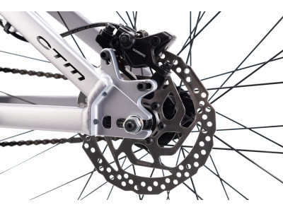 CTM DIRTKING Pro | matt silver