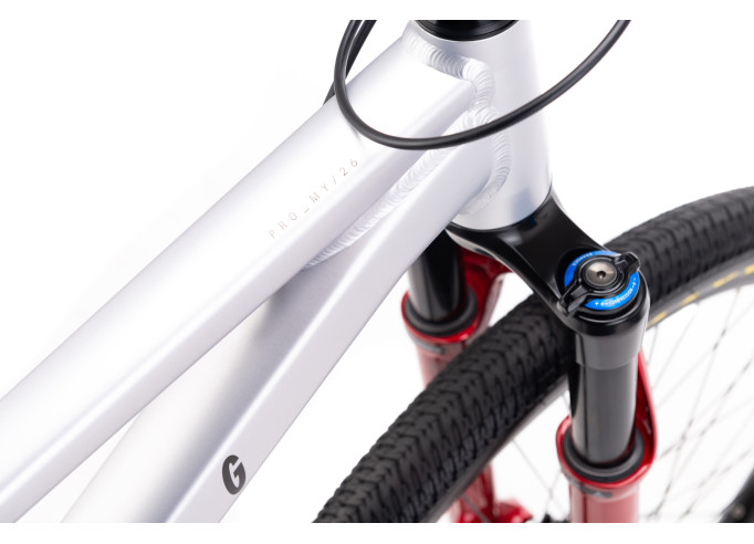 CTM DIRTKING Pro | matt silver