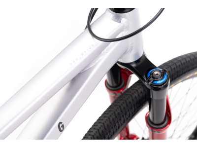 CTM DIRTKING Pro | matt silver