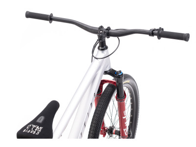 CTM DIRTKING Pro | matt silver