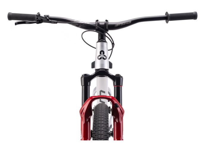 CTM DIRTKING Pro | matt silver