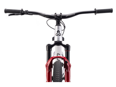 CTM DIRTKING Pro | matt silver