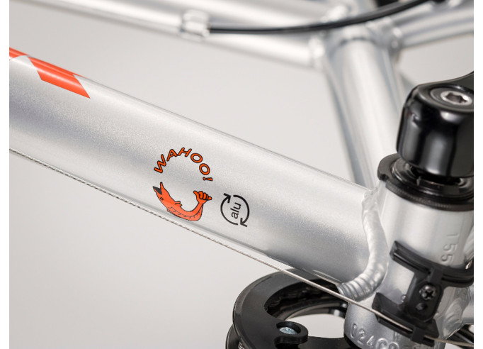 Kids bike TREK Wahoo 20 Quicksilver/Roarange