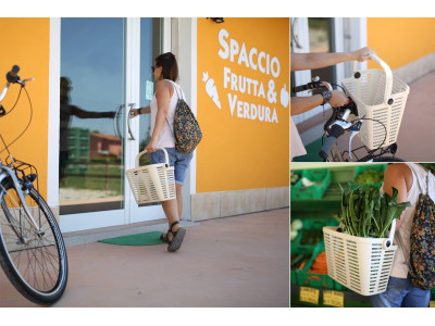 Grozs Bellelli Plaza 5kg zils